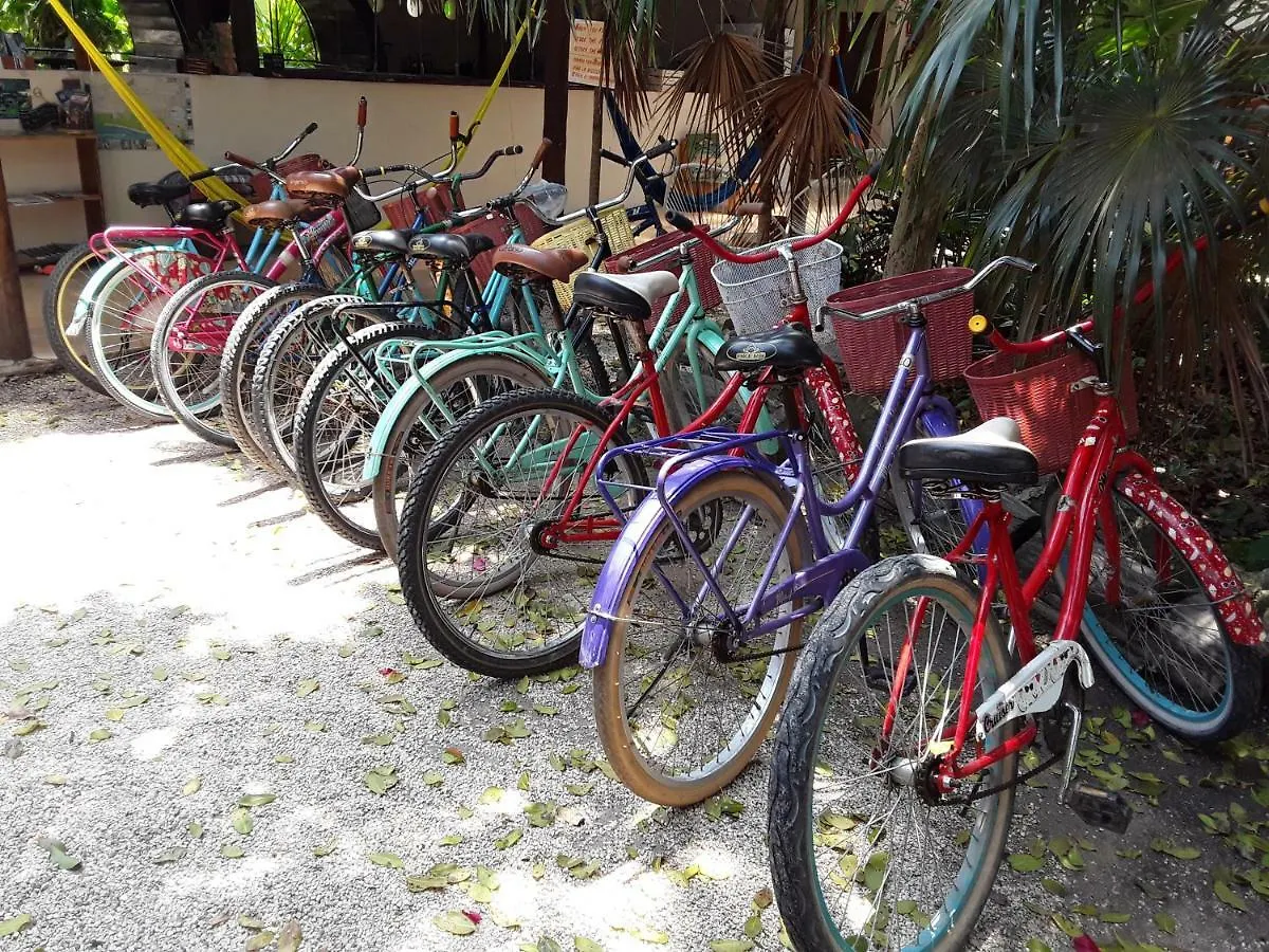 Tubo Tulum Hostel