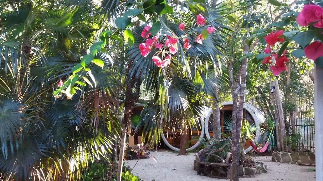 Tubo Tulum Hostel 0*,  Mexico