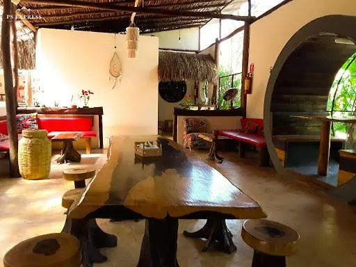 Tubo Tulum Hostel Mexico