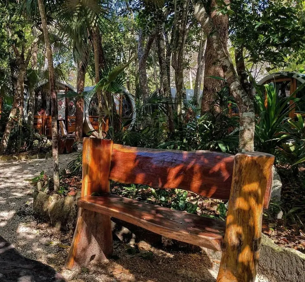 Tubo Tulum Hostel