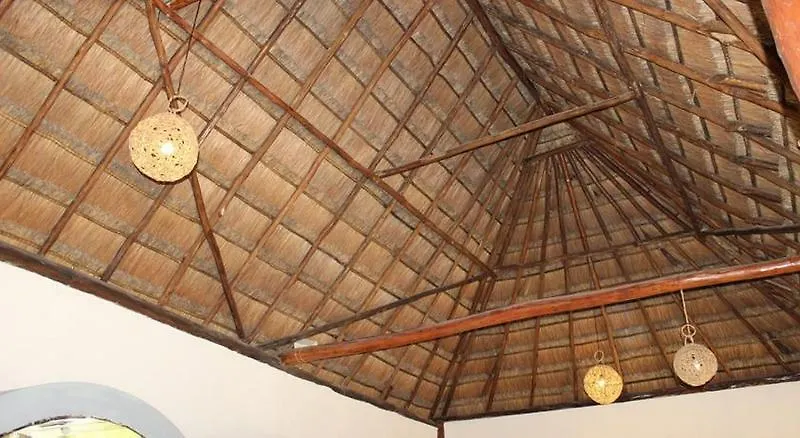 Tubo Tulum Hostel