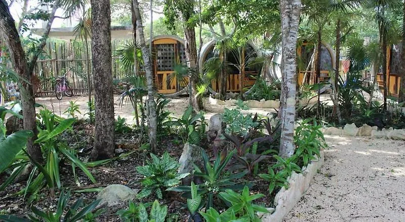 Tubo Tulum Hostel